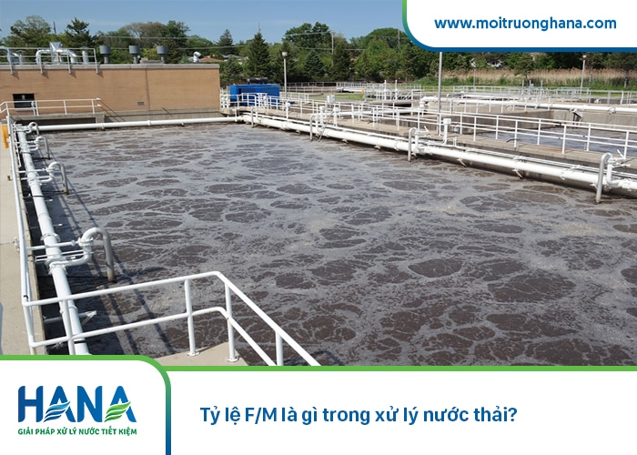 Tỷ lệ F/M là gì trong xử lý nước thải?