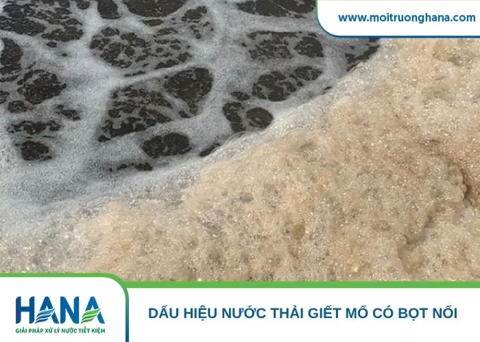 Váng mỡ nhờn nổi trên mặt bể sinh học nước thải giết mổ