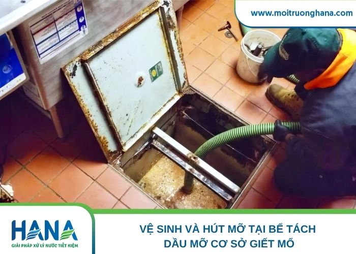 Vệ sinh và hút mỡ tại bể tách dầu mỡ cơ sở giết mổ
