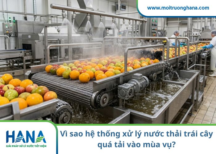 Vì sao hệ thống xử lý nước thải trái cây quá tải vào mùa vụ?