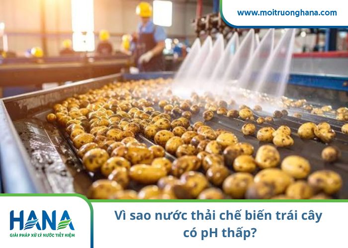 Vì sao nước thải chế biến trái cây có pH thấp?