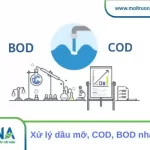 Xử lý dầu mỡ cod bod nhà hàng
