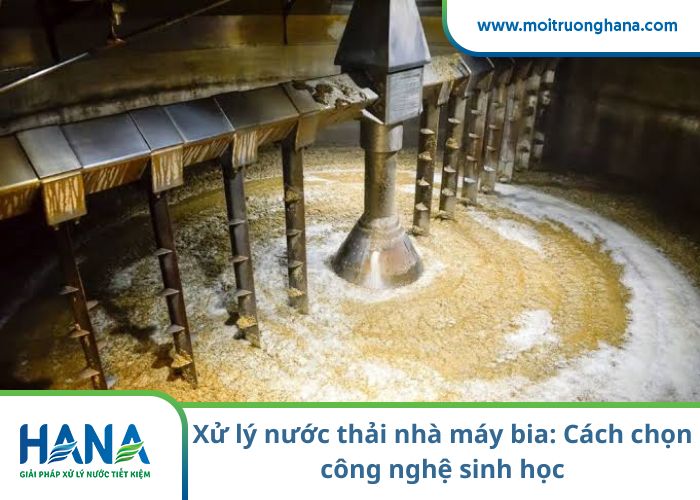 Xử lý nước thải nhà máy bia