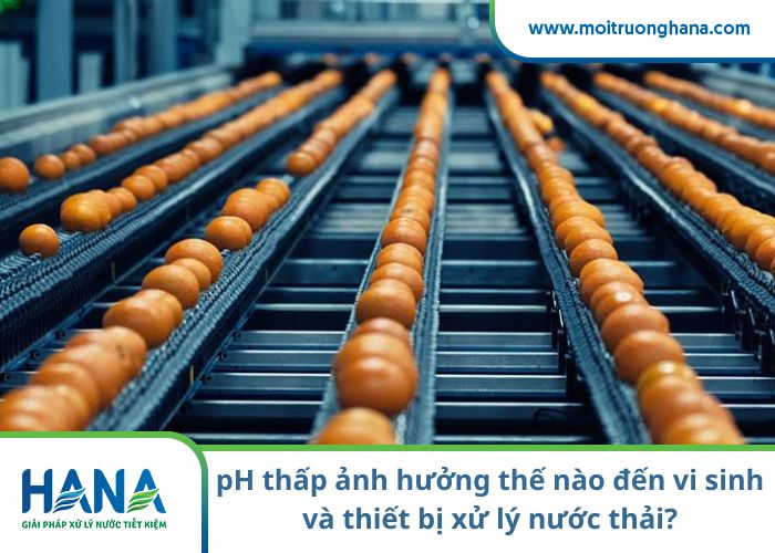 Xử lý pH thấp trước sinh học: Bể điều hòa, bể trung hòa và lựa chọn hóa chất